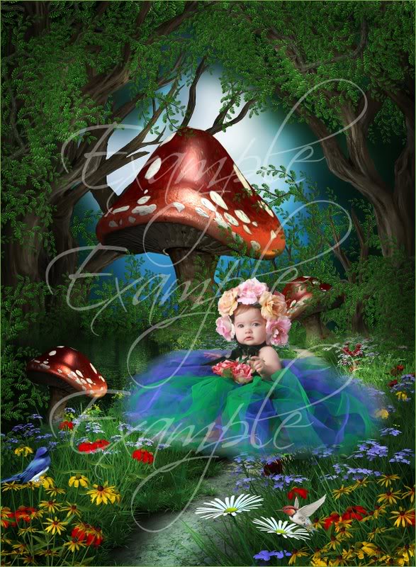 Alice in Wonderland Vol. 2 - Digital Fantasy Backgrounds