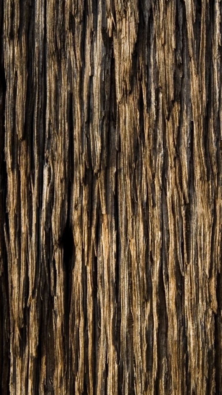 Download Wallpaper 750x1334 Bark, Wood, Background, Texture iPhone