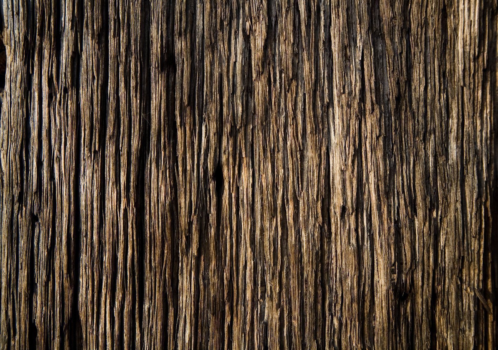 Wood textured wallcovering 2015 - Trending Wallpaper HD