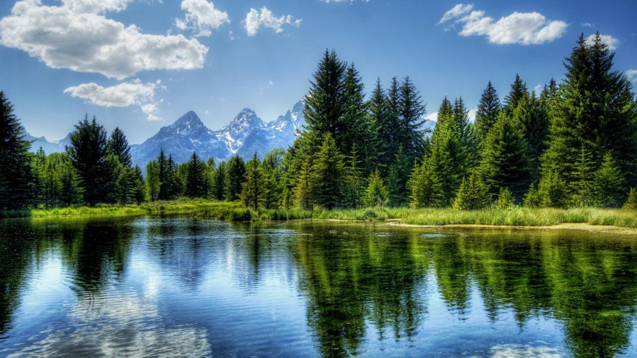 1280x720 Landscape Nature Reflection Lake Mirror Forest Woods