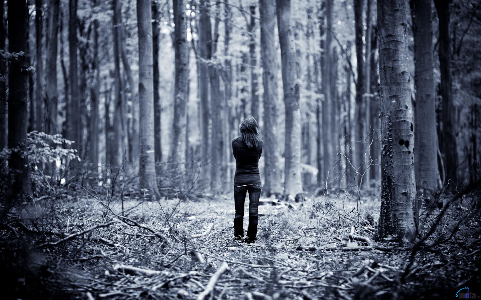 Download Wallpaper Lonely girl in the woods (1680 x 1050 ...