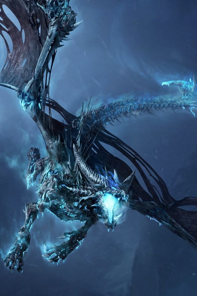 Download Wallpaper 640x960 World of warcraft, Dragon, Cold