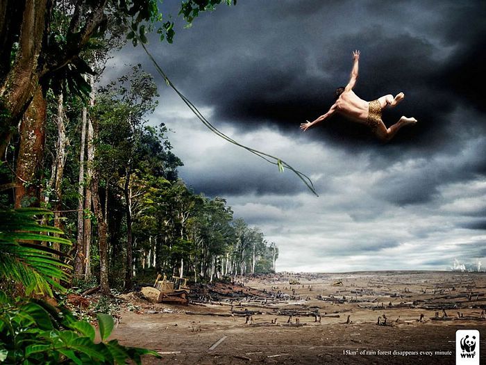 WWF World Wide Fund for Nature WWF PSAs wallpaper 31314