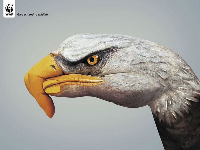 WWF World Wide Fund for Nature WWF PSAs wallpaper 31285