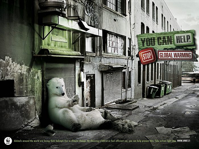 WWF World Wide Fund for Nature WWF PSAs wallpaper 31181