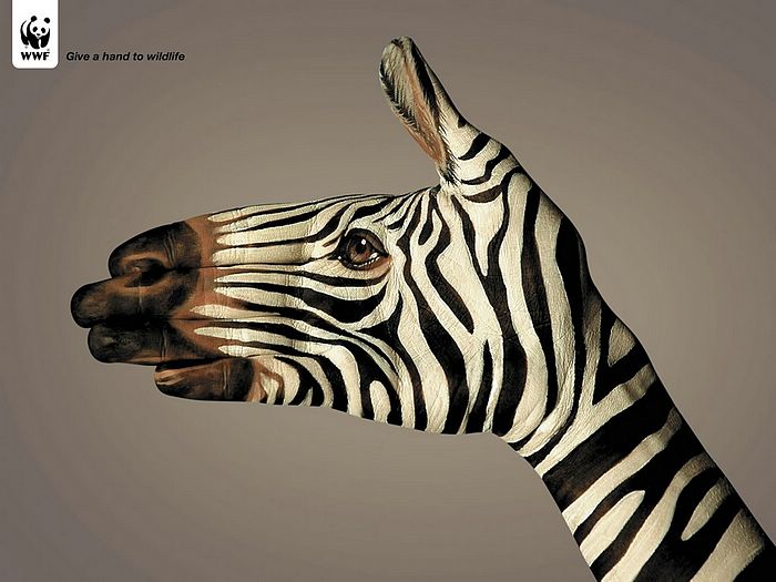 WWF World Wide Fund for Nature WWF PSAs wallpaper 31254