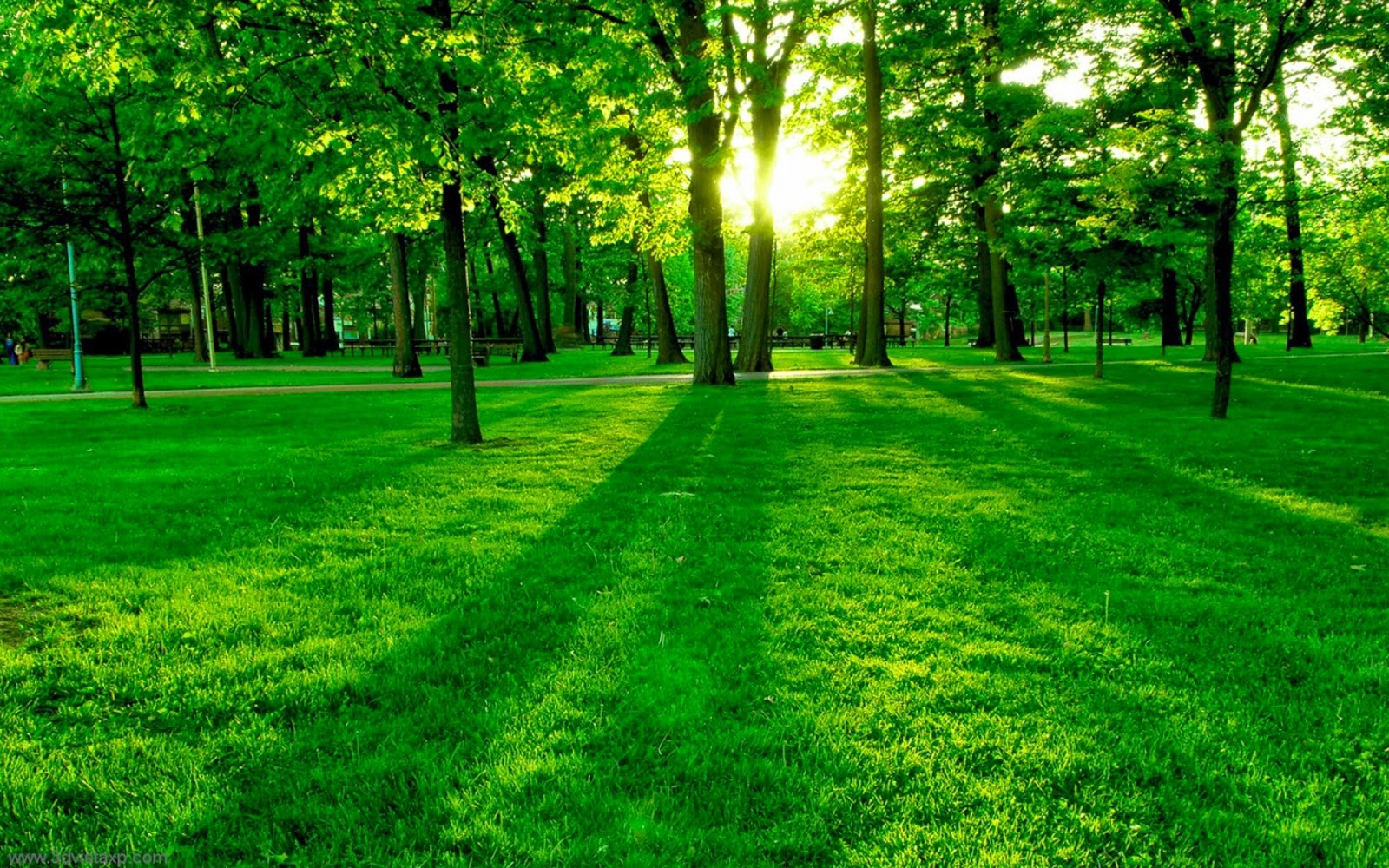 Worlds Best Wallpapers Greenscape Backgrounds