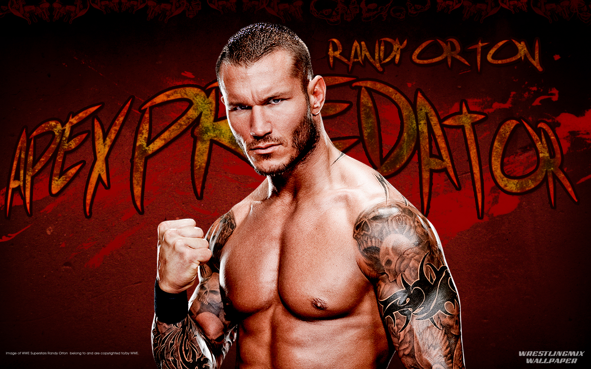 Randy Orton HD Images