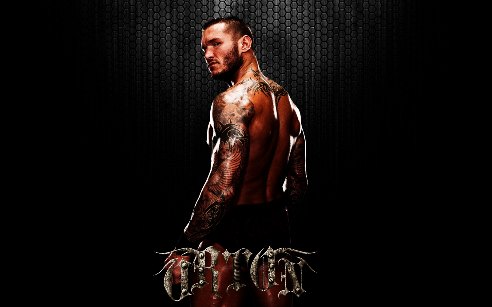 Orton17