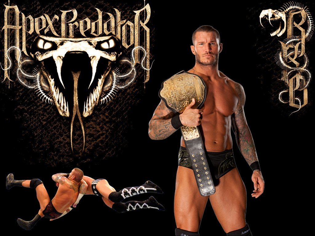 Randy Orton HD Images