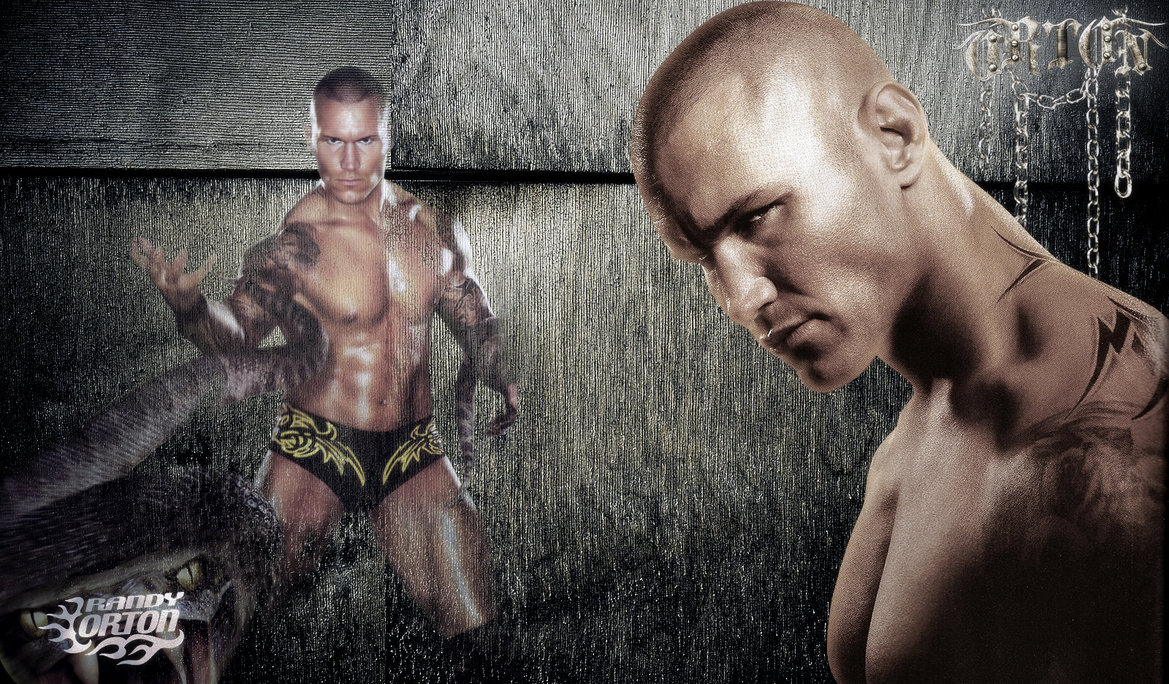 Randy Orton Wallpapers Randy Orton Photo Randy Orton Image