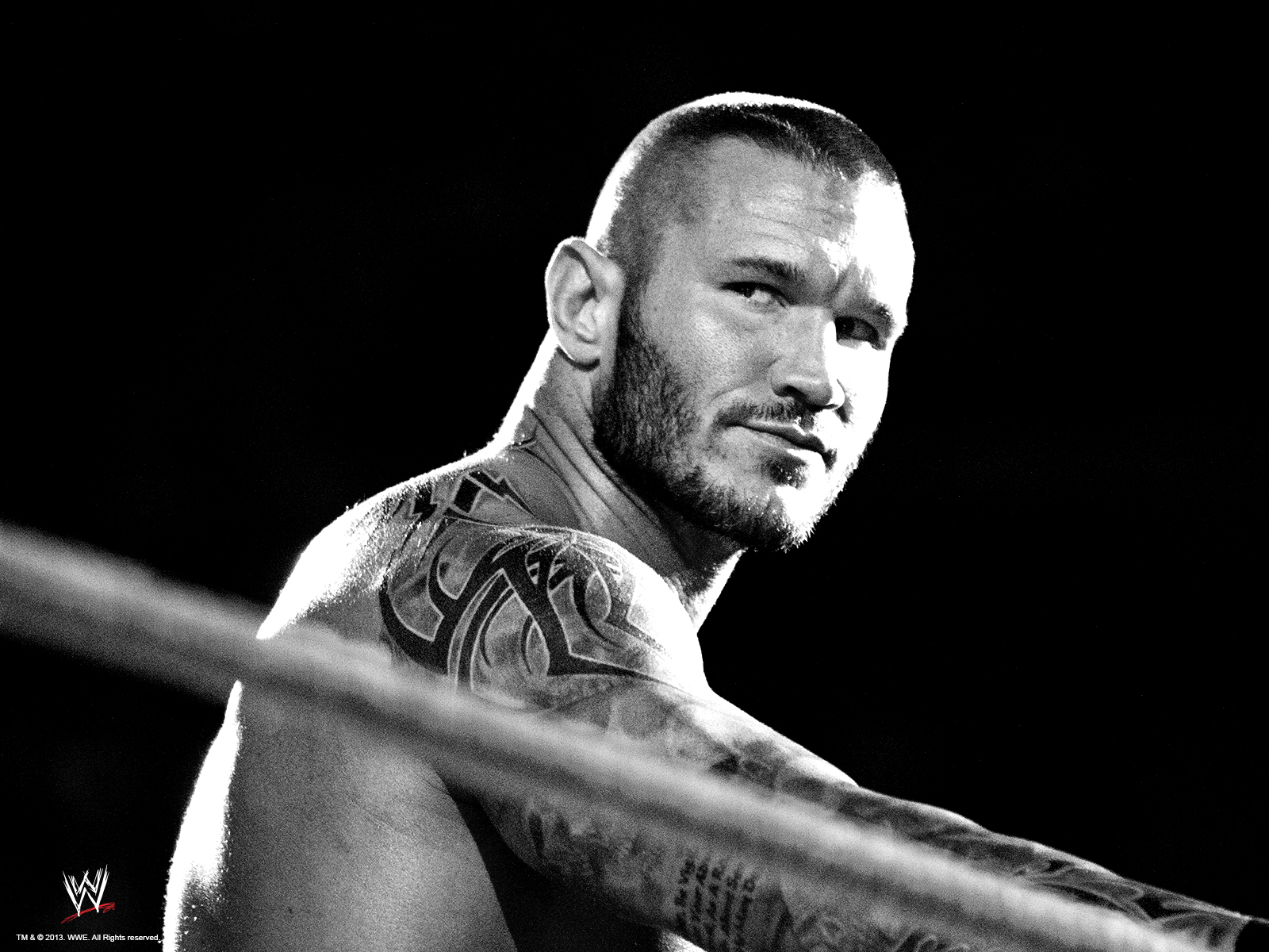 Randy Orton - WWE Wallpaper 36843527 - Fanpop