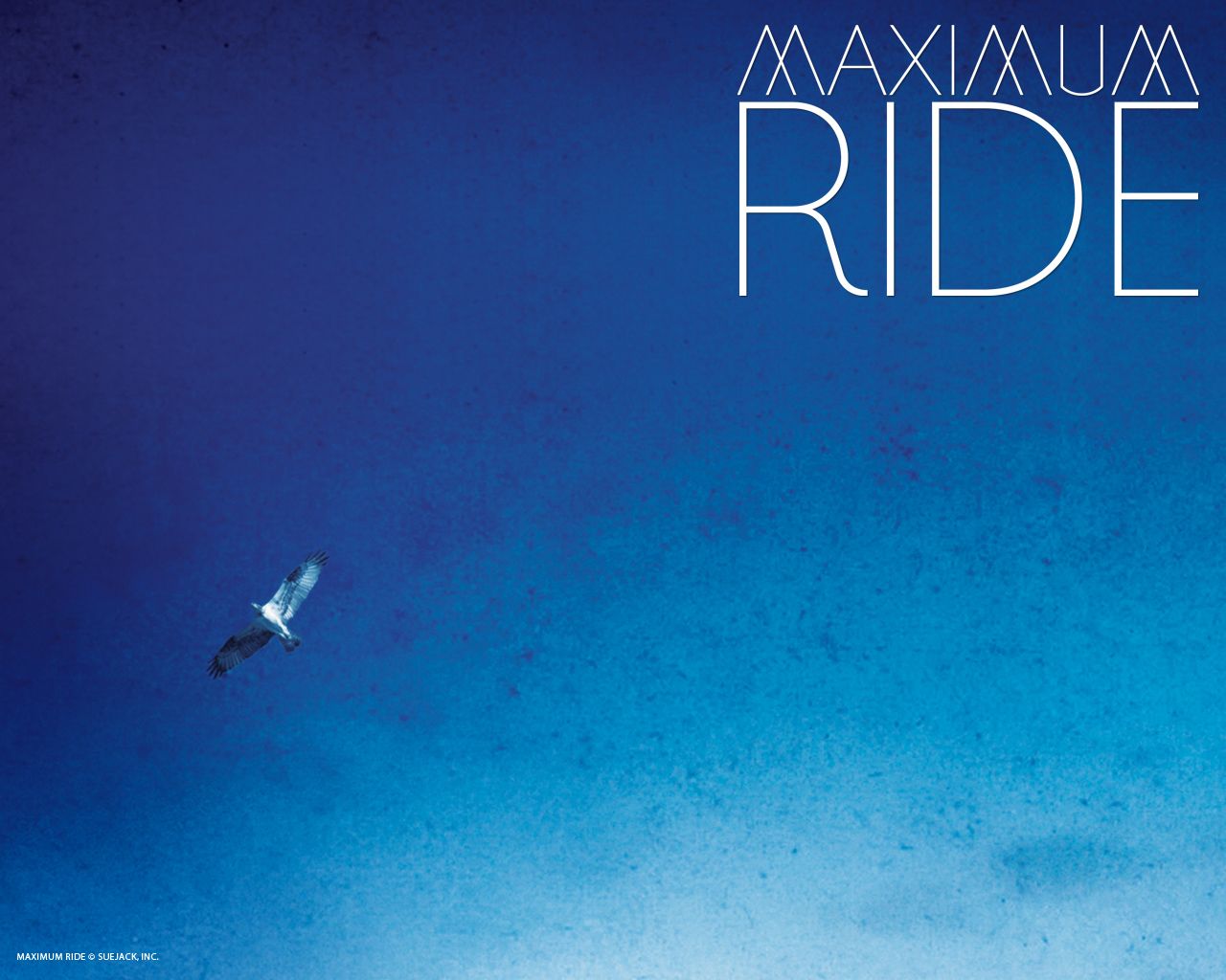 Maximum Ride Free Downloads - Wallpapers, Buddy icons and more