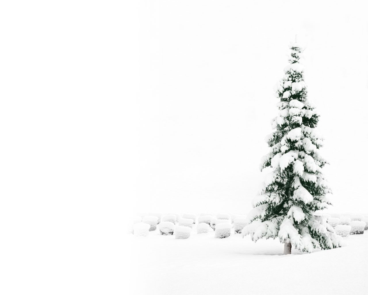2015 free Christmas backgrounds - images, wallpapers, photos, pics ...
