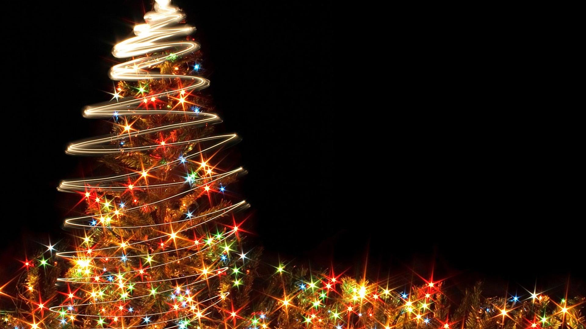 Christmas Trees HD Backgrounds