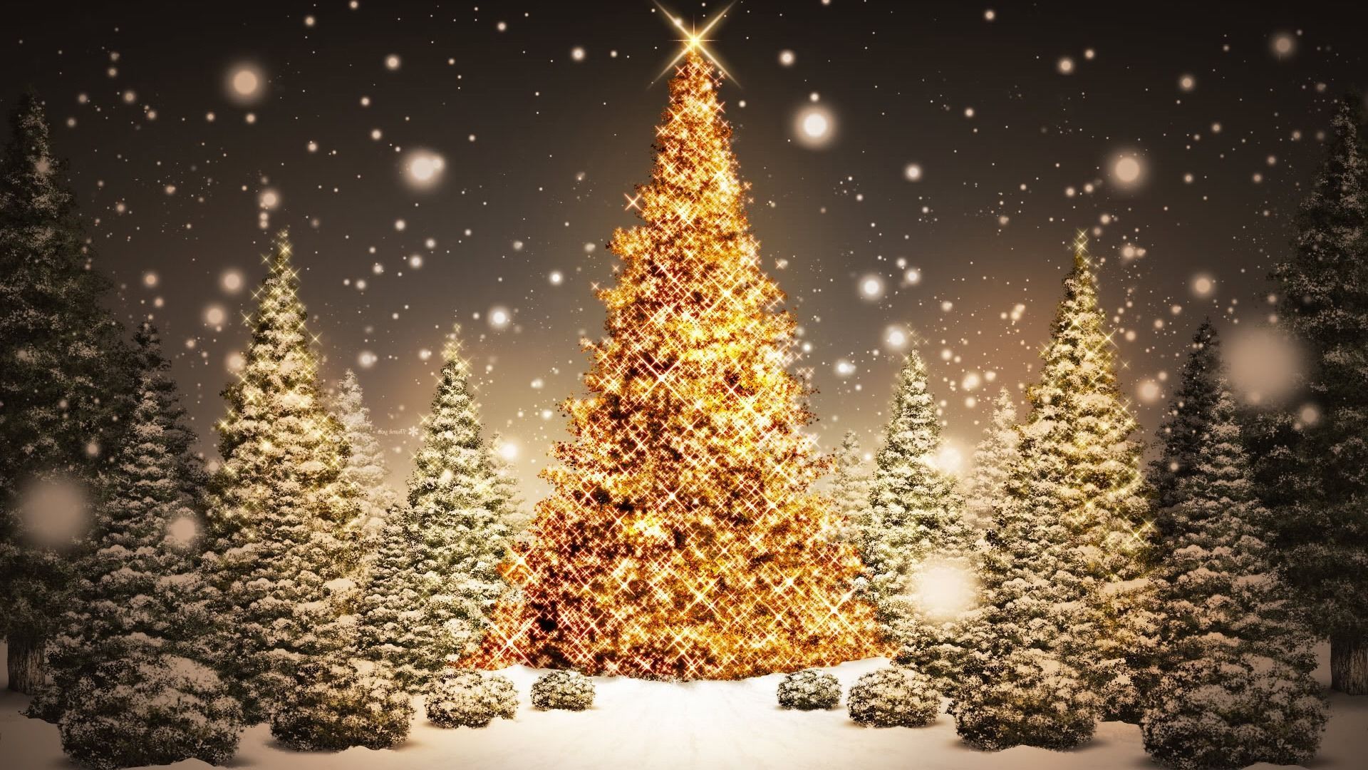 Christmas tree hd wallpaper 1080p HD WALLPAPER WIDE
