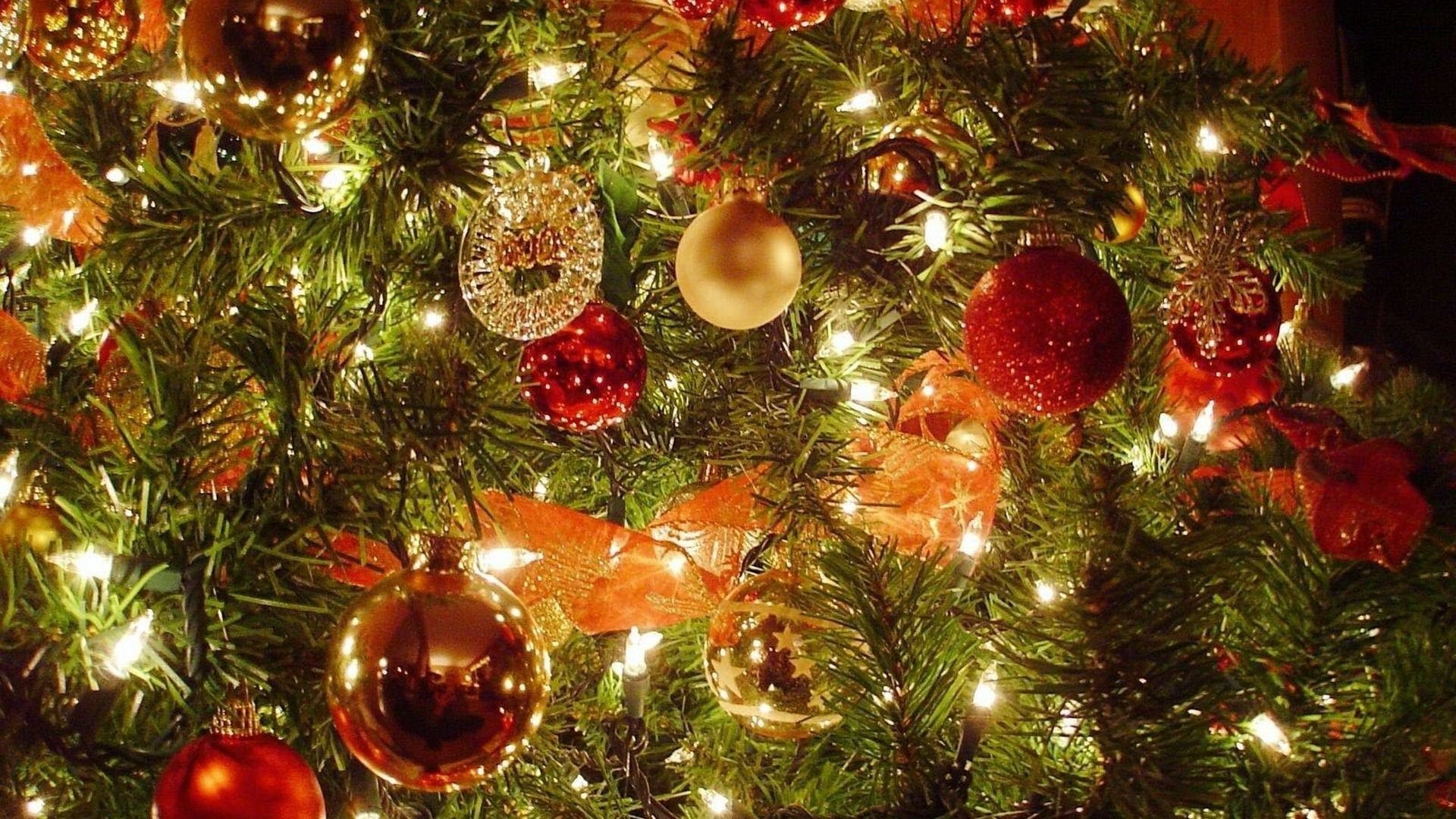 Christmas Tree Photos Download Free Desktop Wallpaper Images