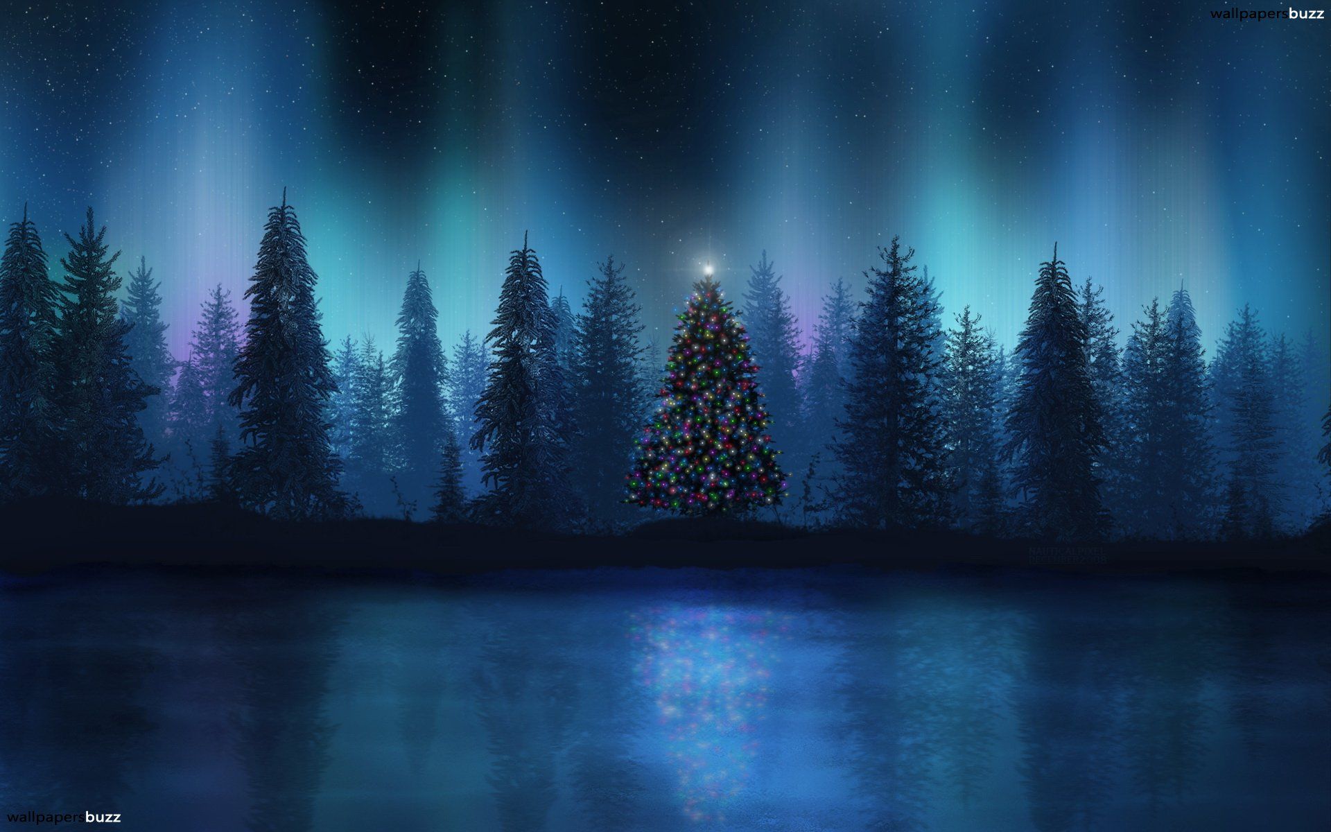 Christmas tree in a wood HD Wallpaper