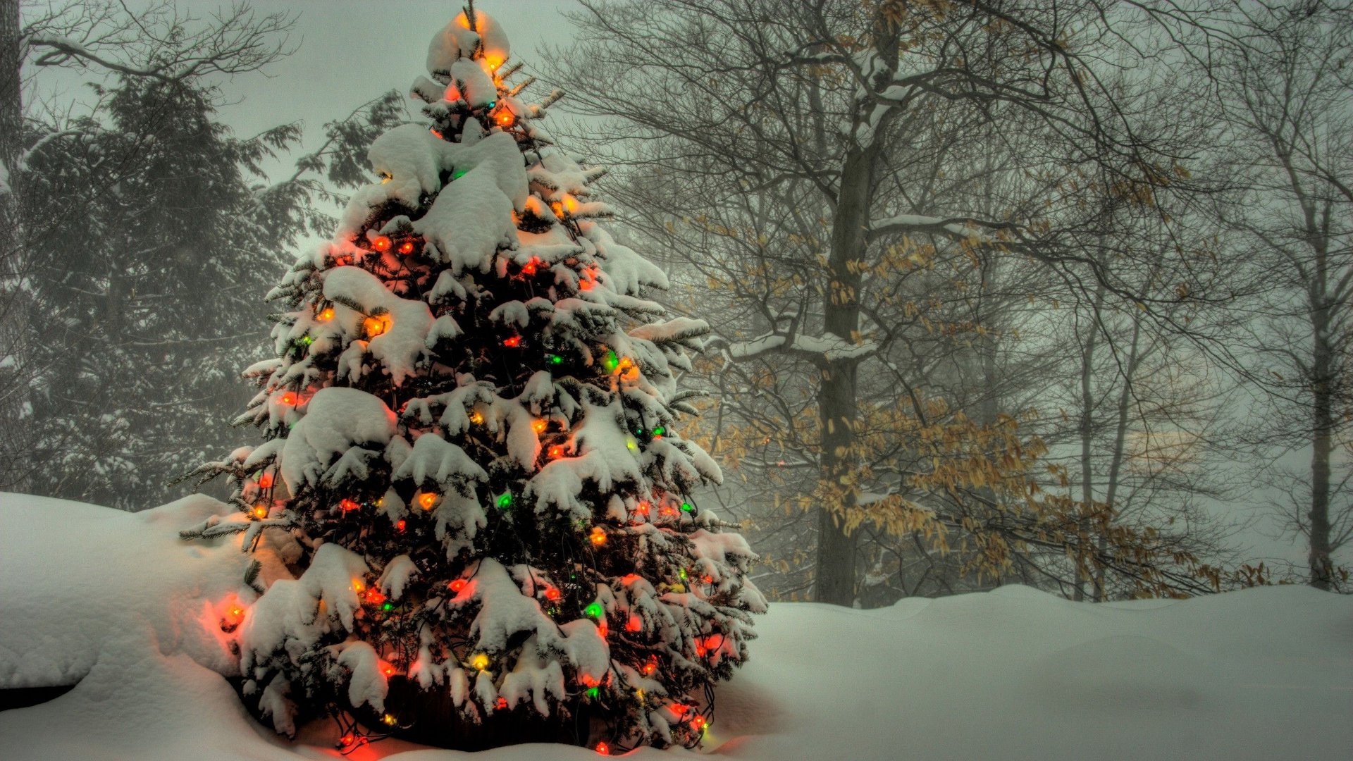Christmas Tree Backgrounds | Wallpapers9