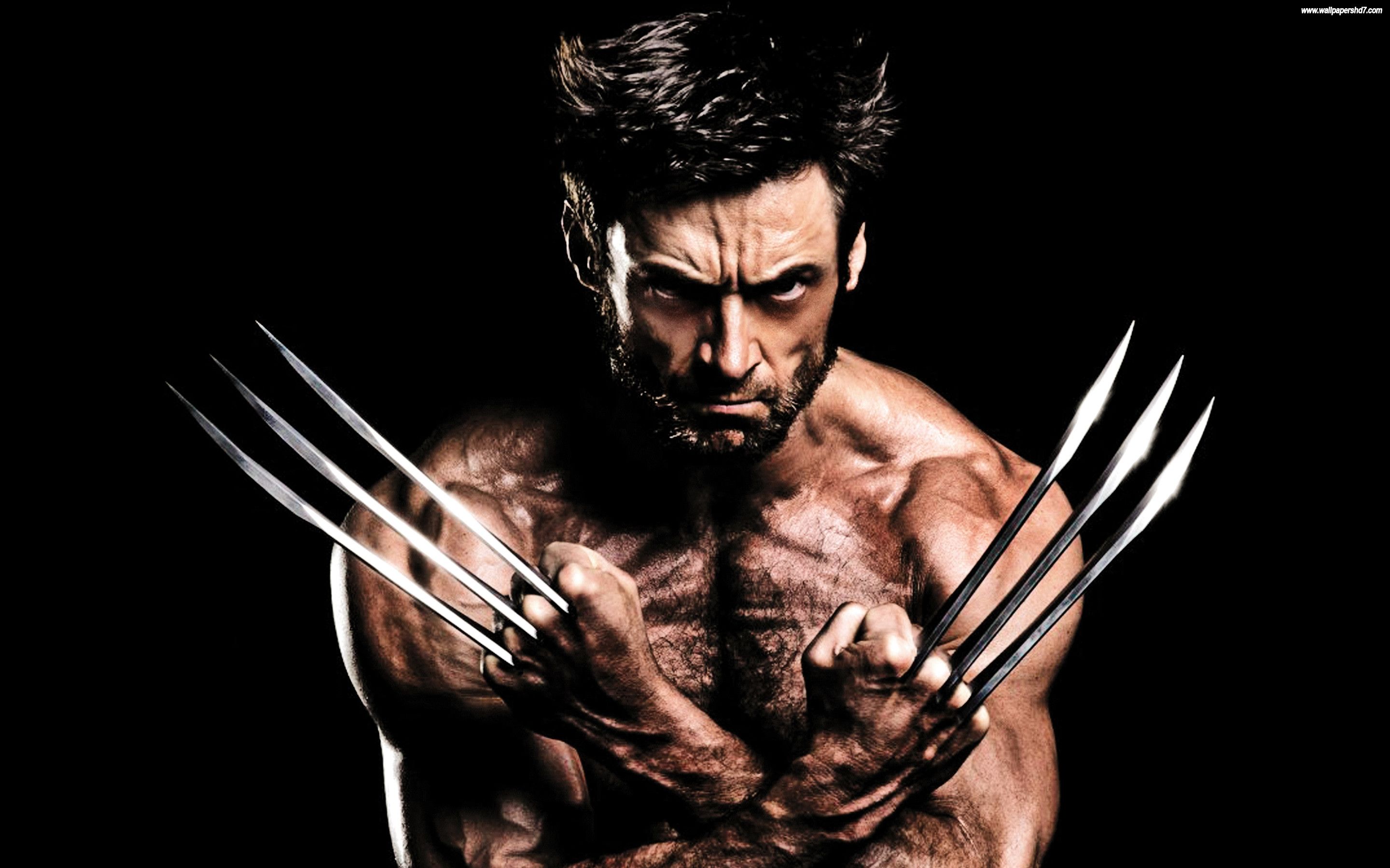 Wolverine Wallpapers - Wallpaper Cave