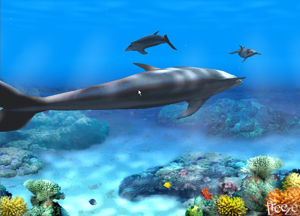 Living 3D Dolphins Animated Wallpaper - Software Informer. 3D ...