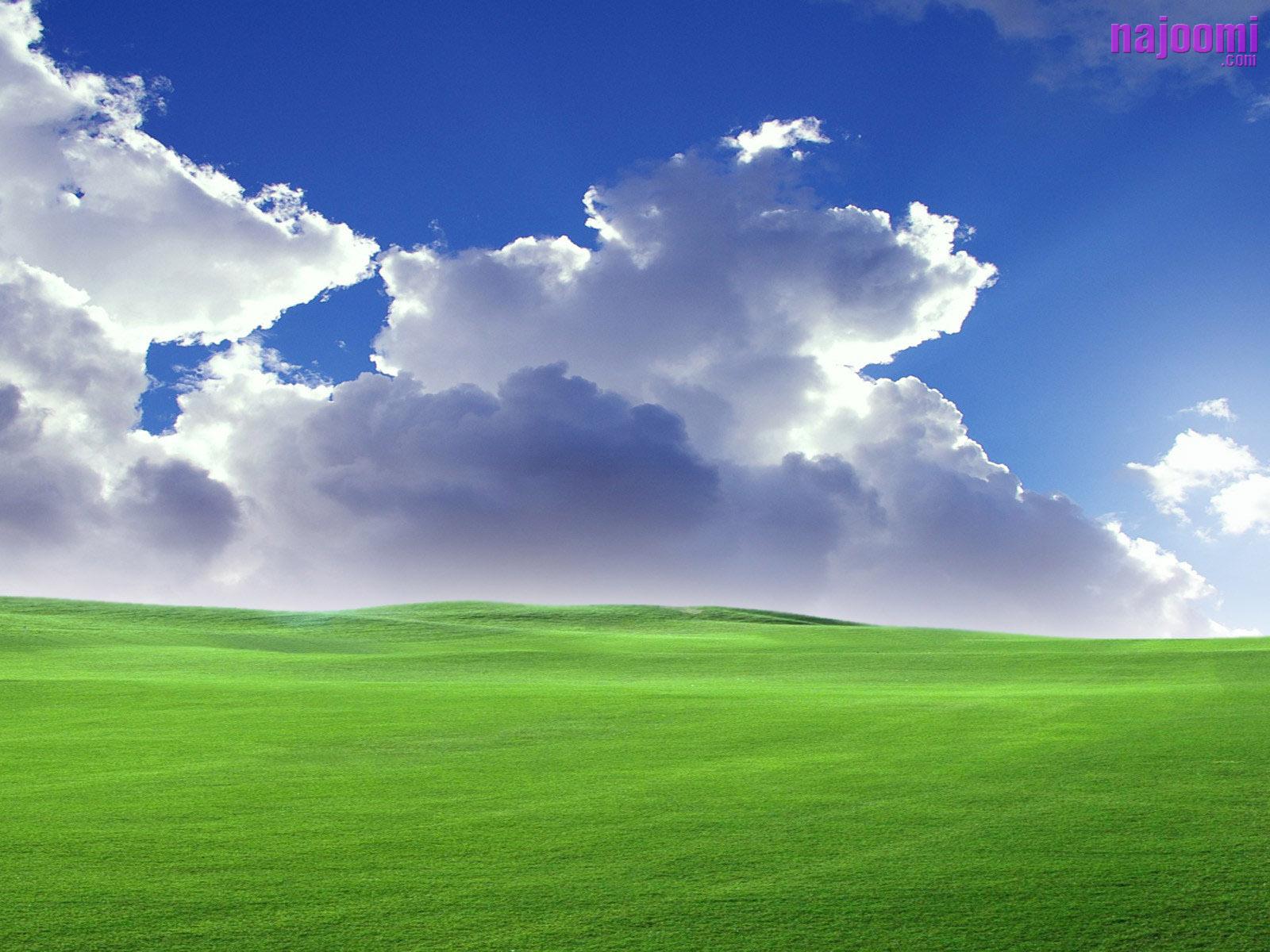 Picture For > Window Xp Wallpaper 3d