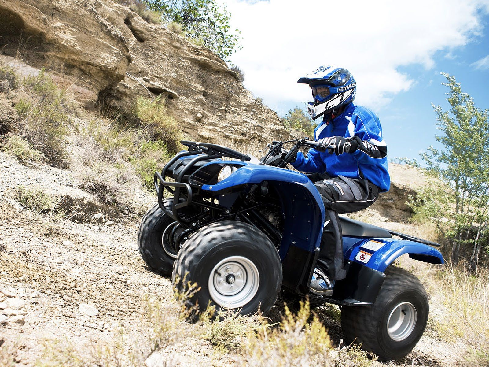 2009 YAMAHA Grizzly 125 ATV wallpapers, specifications