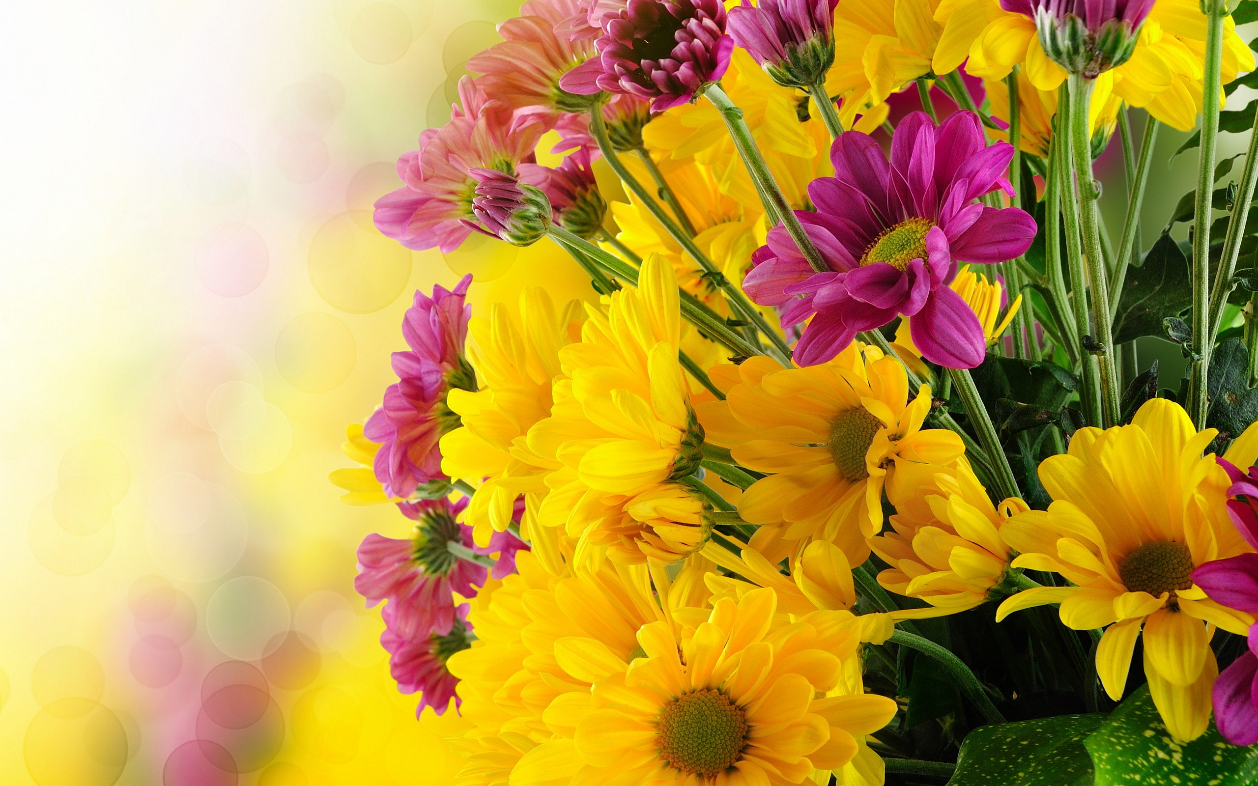 BUNCH PINK YELLOW FLOWERS - Online Wallpapers HD