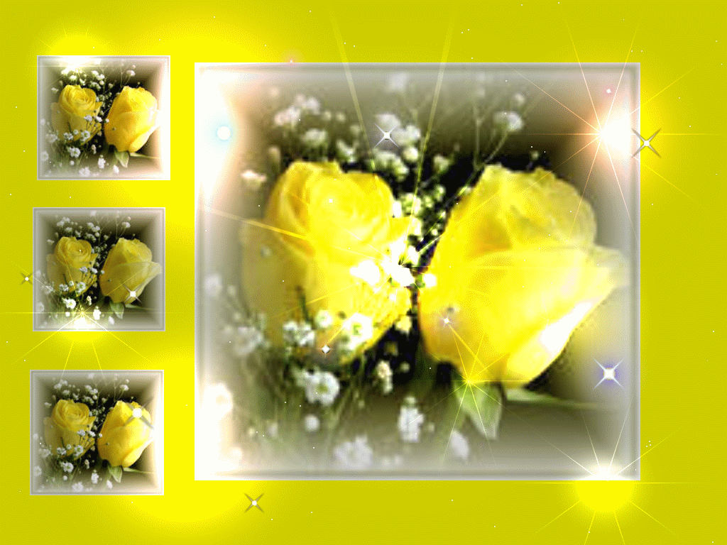 Yellow Rose Wallpaper For Desktop Full Size