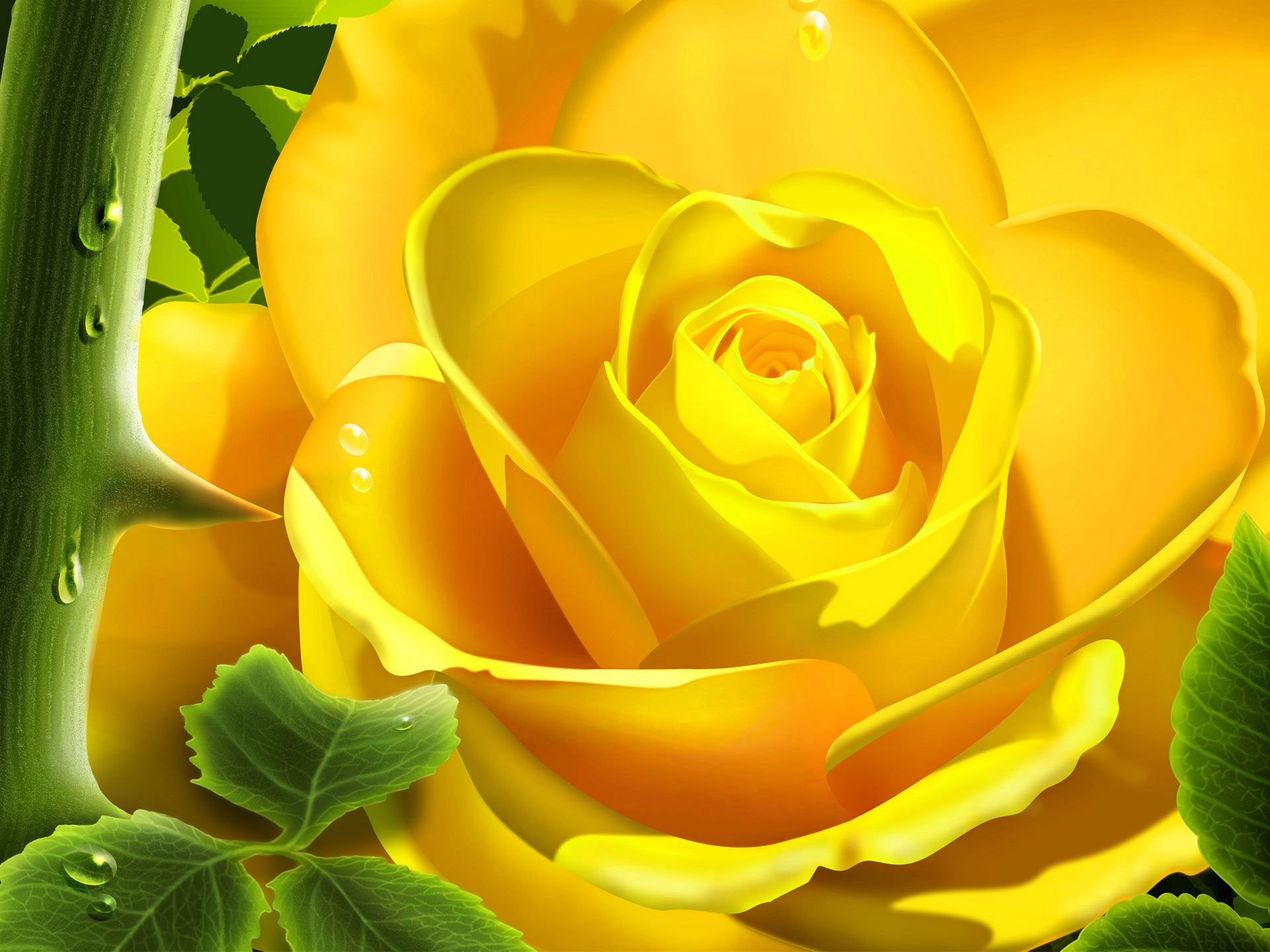 Yellow Rose HD Backgrounds