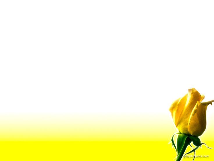 yellow rose flower powerpoint background | WOMENS MINISTRY ...