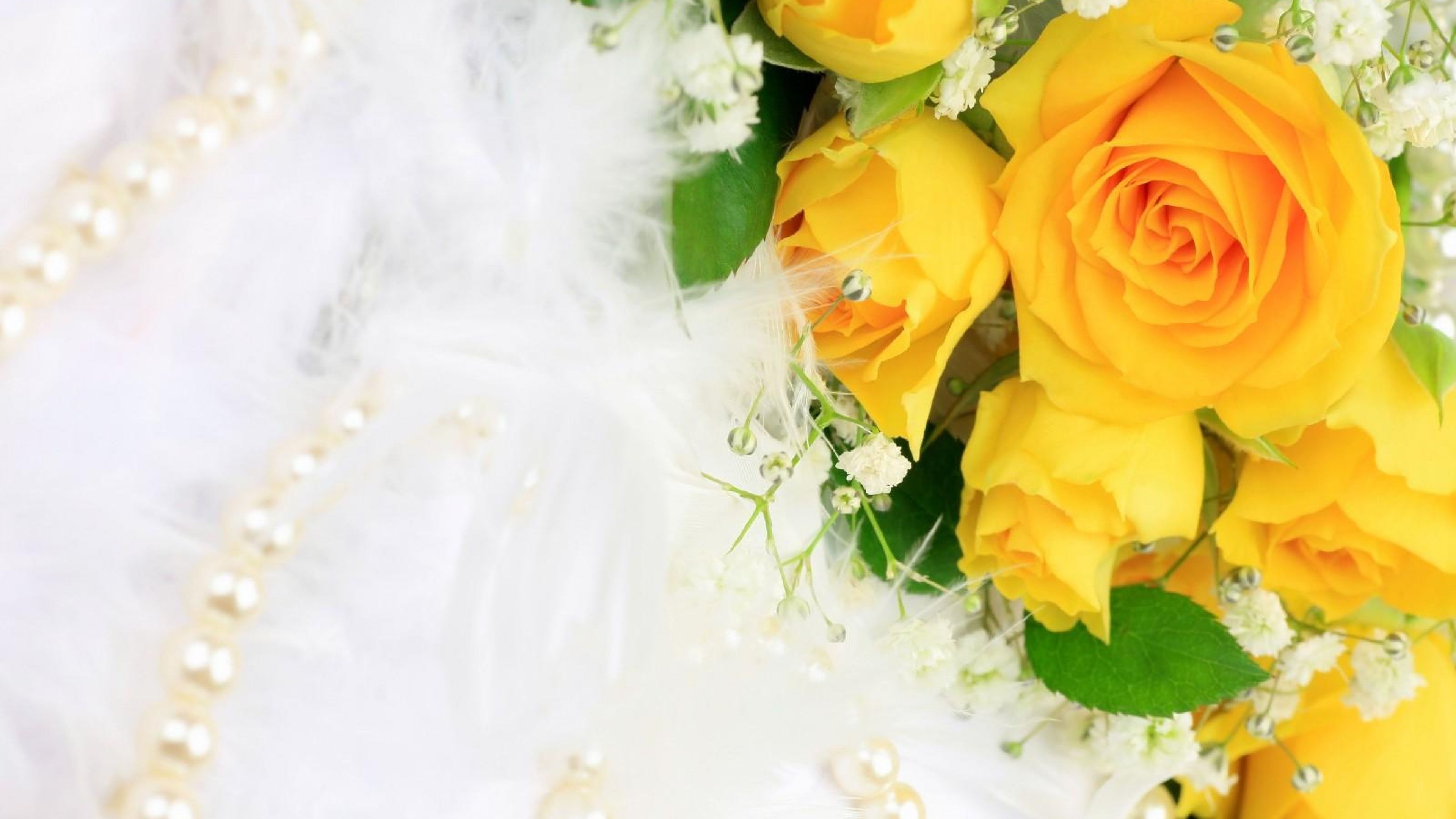 Download Wallpaper 3840x2160 Roses, Flowers, Flower, Yellow