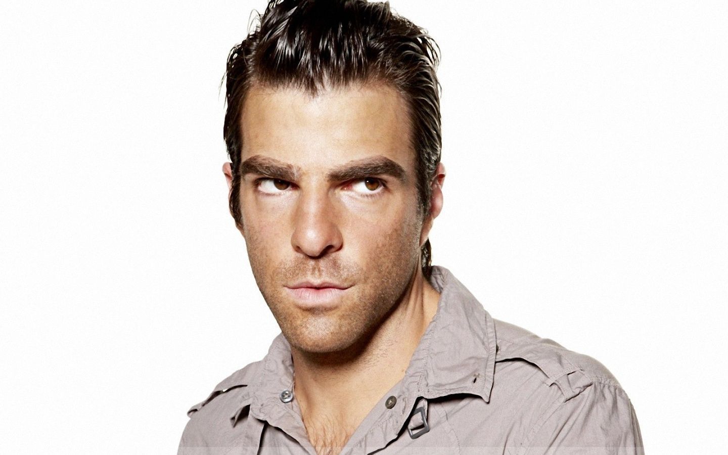 Zachary Quinto Wallpaper 1440x900 Wallpapers, 1440x900 Wallpapers