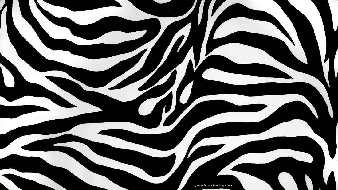 Zebra Wallpapers AB Backgrounds