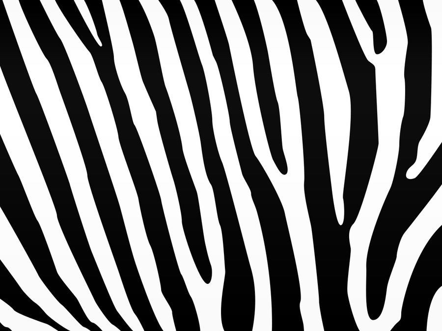 Zebra Backgrounds - Wallpaper Zone