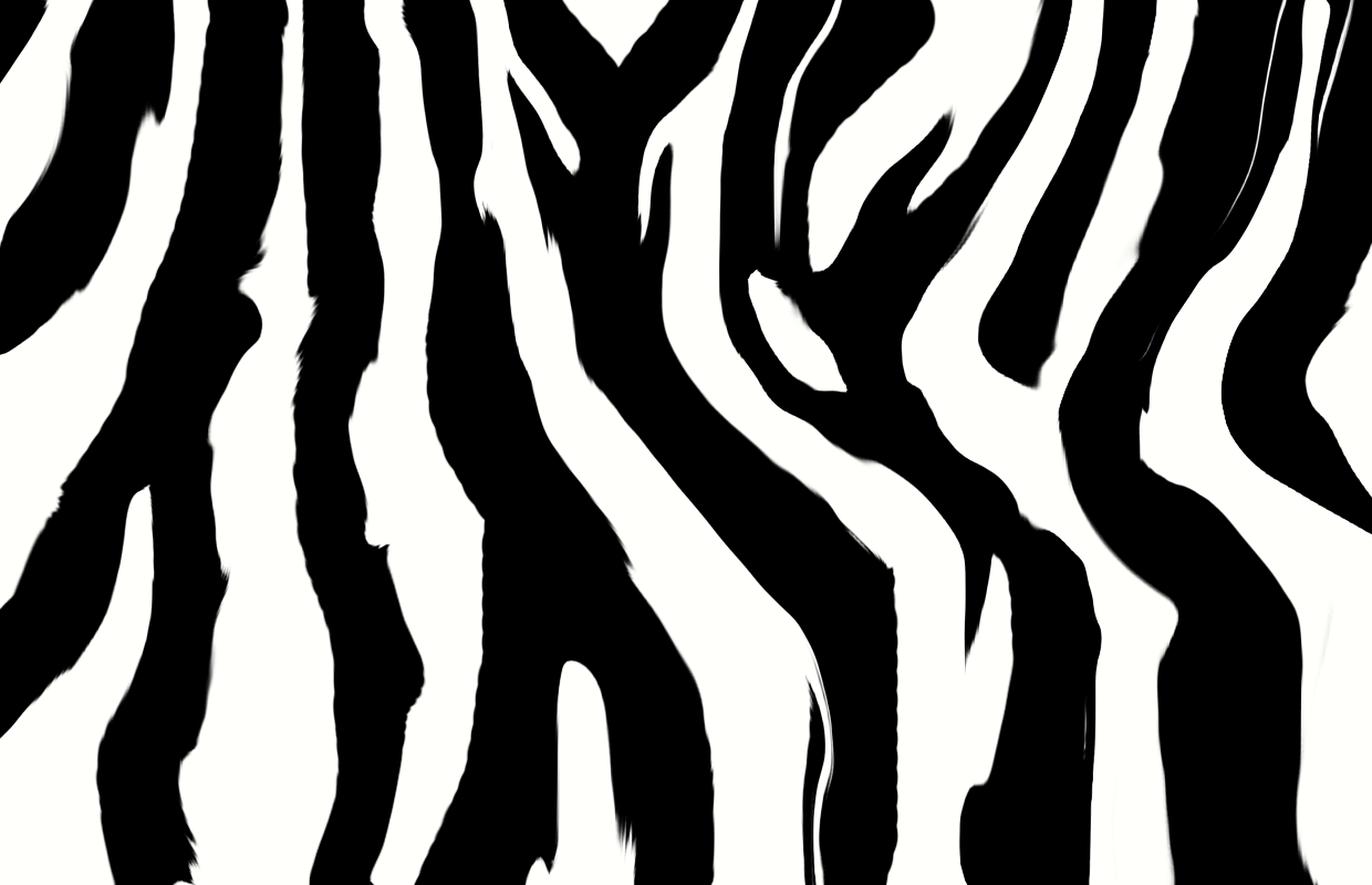 Zebra Computer Wallpapers - Wallpaper Cave