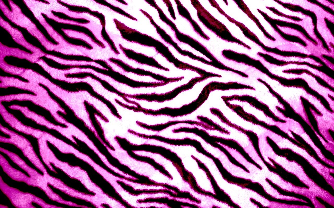 Zebra Print wallpaper | 1280x800 | #46774