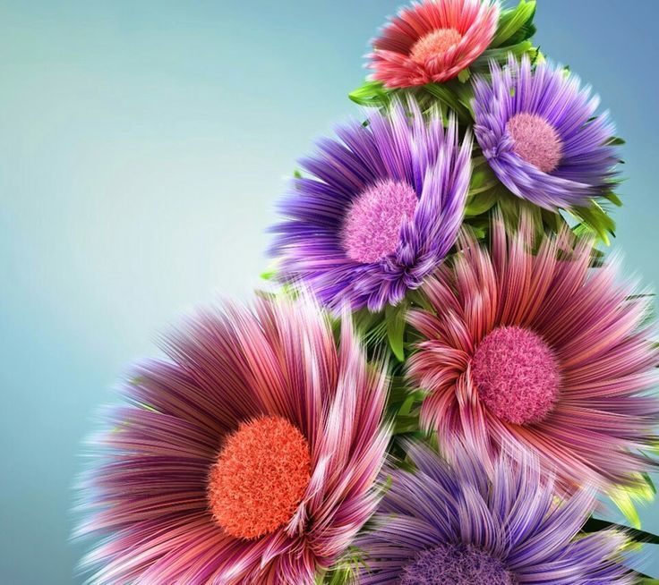 Beautiful flowers Zedge wallpaper All Printables Pinterest