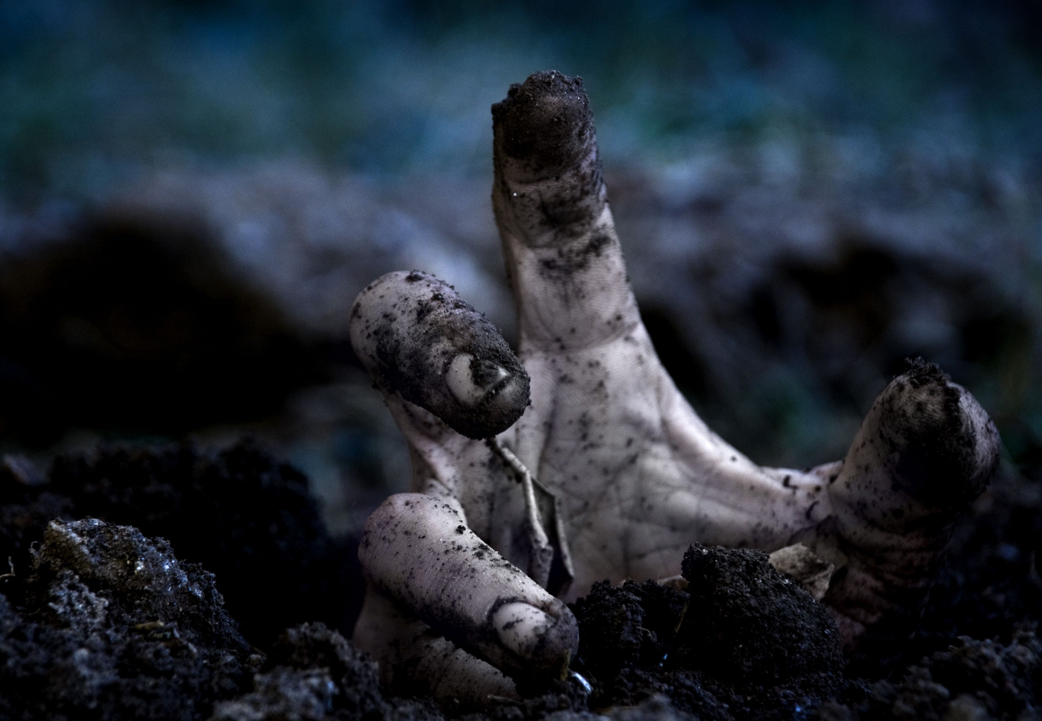 zombies hand dark night HD desktop background wallpapers | Daily ...