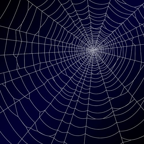 Set of Spider web vector background 05 - Vector Background free ...