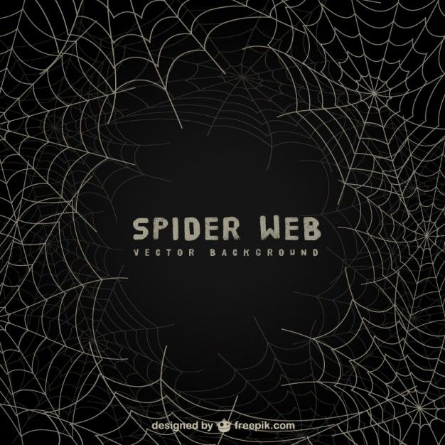 Spider web background on blackboard Vector Free Download