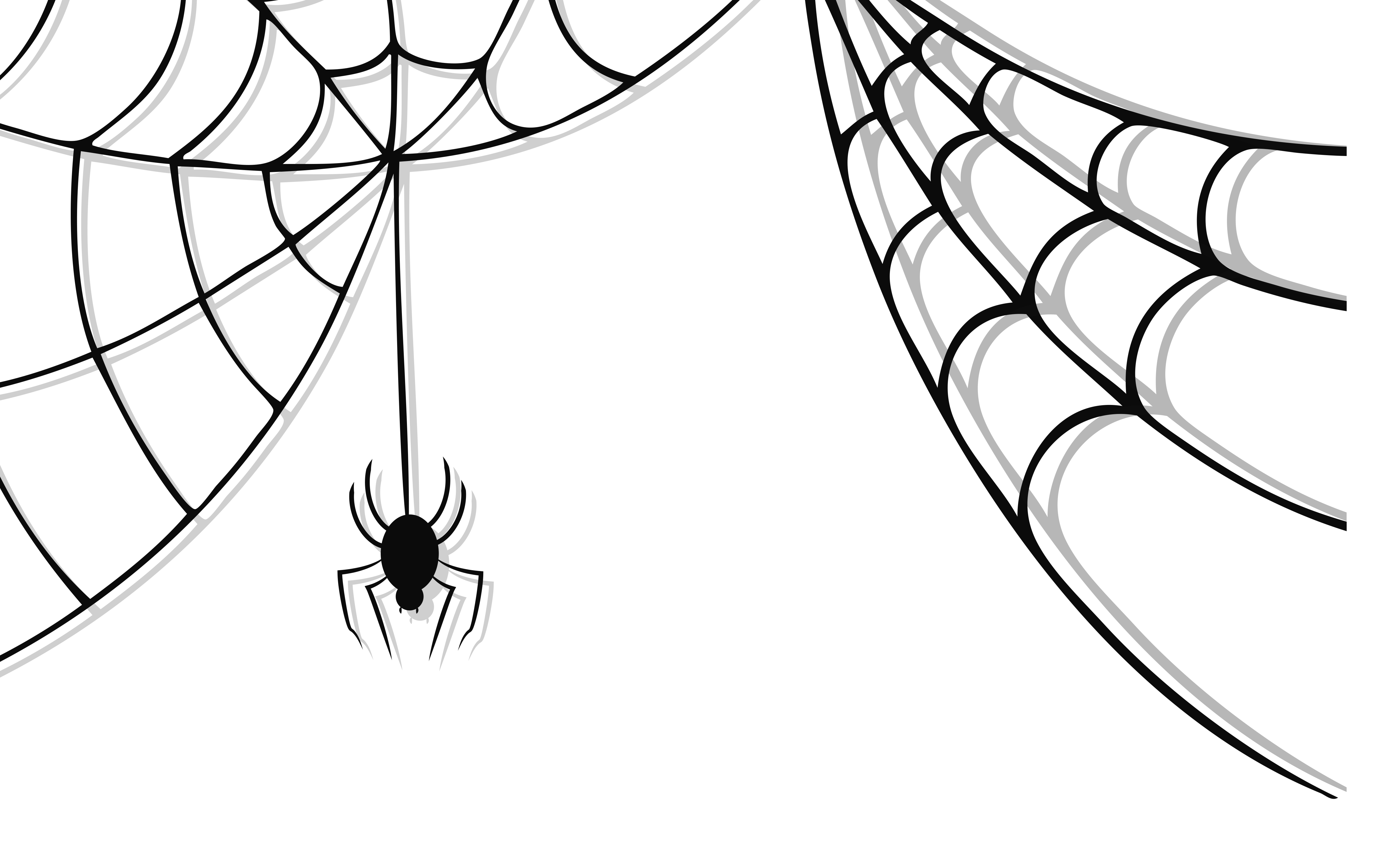 Best Spider Web Png - Clipartion.com