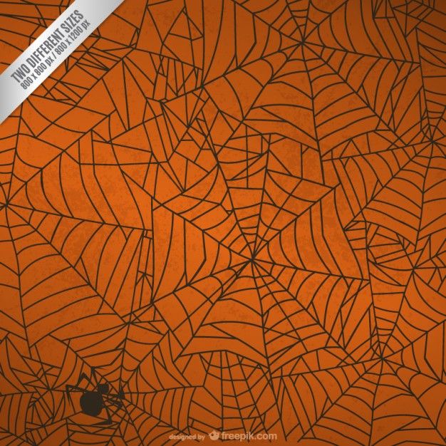 Halloween spider web background Vector Free Download