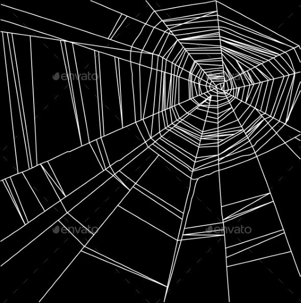 Spider Web Background GraphicRiver