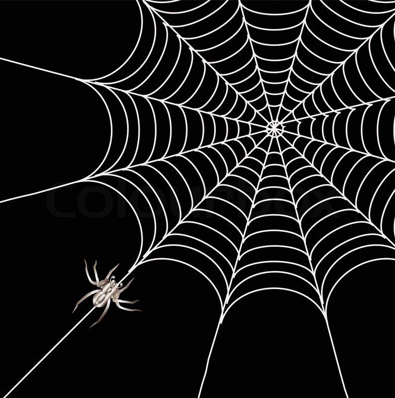 Spider and a web on a black background Vector Colourbox