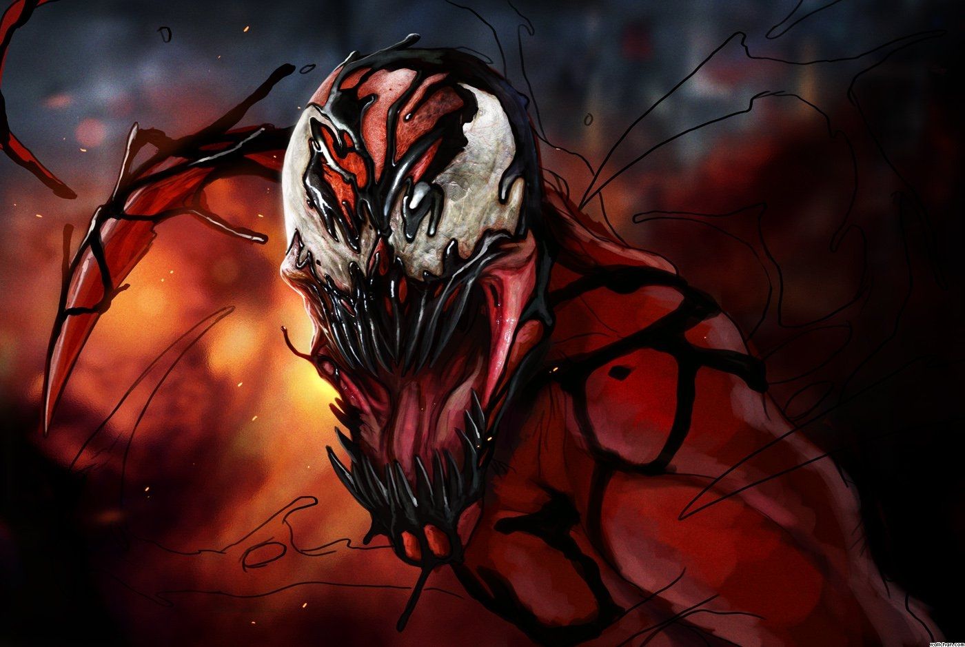 Spiderman Venom Wallpaper HD Wallpaper | Animation Wallpapers
