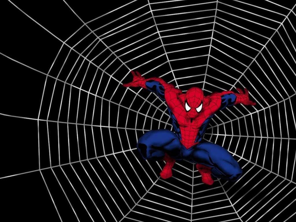 Spiderman Cartoon HD Background Wallpapers 11438 - HD Wallpapers Site