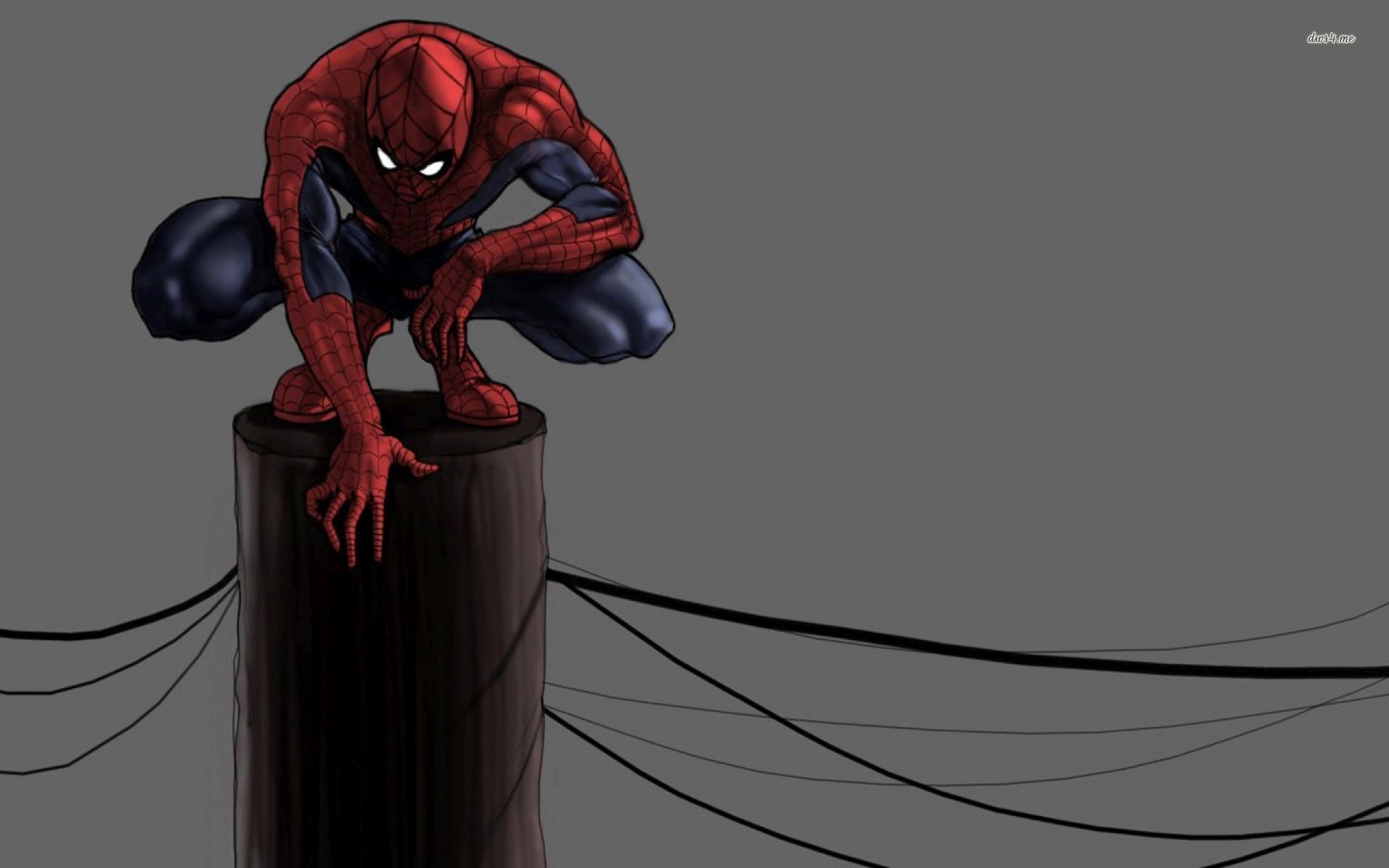 Spiderman wallpaper - Comic wallpapers -