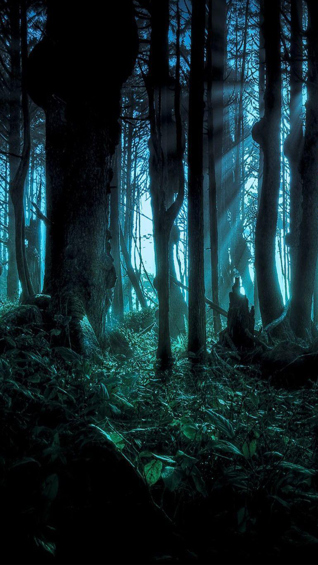 Spooky woods iPhone 5 Wallpaper (640x1136)