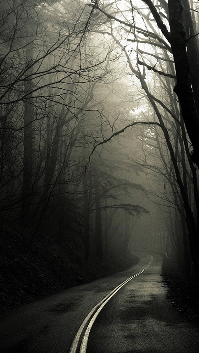 640x1136 Spooky Forest & Mysterious Way Iphone 5 wallpaper